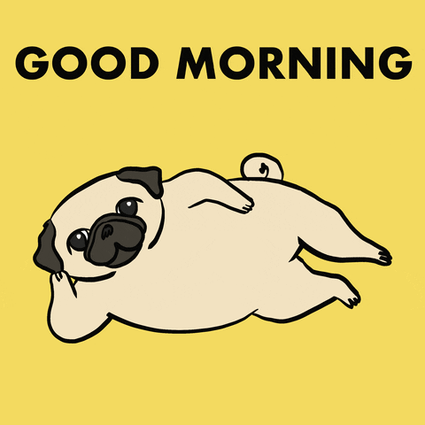 70+ Funny Good Morning GIFs & Wishes - Good Morning Wishes